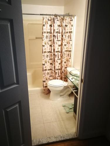 a bathroom with a toilet and a shower curtain at Rainbow House and small garden in Princeton