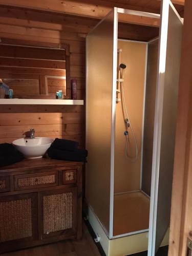 a bathroom with a shower and a sink at Le domaine de barbizon in Saint-Martin-en-Bière