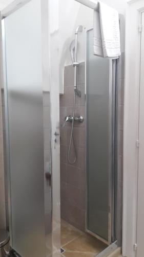 una doccia con porta in vetro in bagno di Palazzo Mellacqua ad Andrano