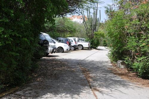 a row of cars parked in a parking lot at Dream of the Green Flamingo in Willibrordus
