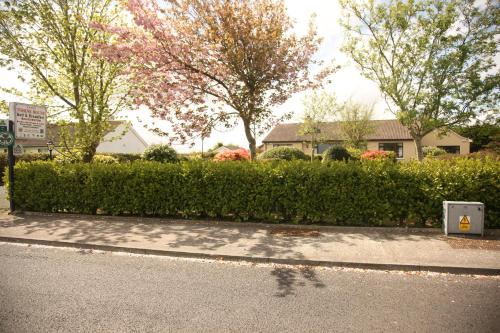a hedge on the side of a street with a house at Torine House B&B in Killorglin