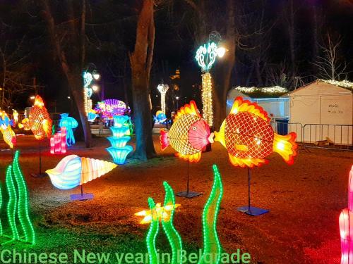a display of christmas lights in a park at night at Apartments best city place in Belgrade