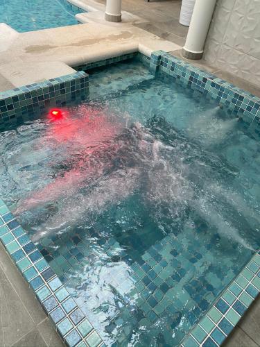 a pool with a red object in the water at Hotel Casacurta in Garibaldi