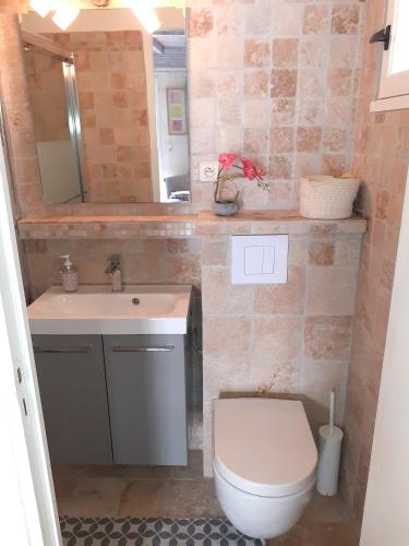 une salle de bain avec toilettes, lavabo et miroir dans l'établissement La capucinette à l’ombre du marronnier, à Maussane-les-Alpilles