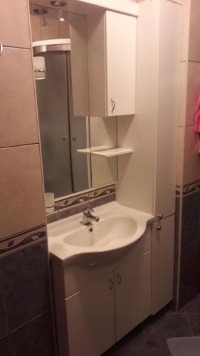 a bathroom with a sink and a mirror at Villa Vasojevka in Bar, Susanj