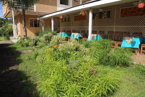 a garden with plants in front of a building at Hotel Maea Hare Repa in Hanga Roa