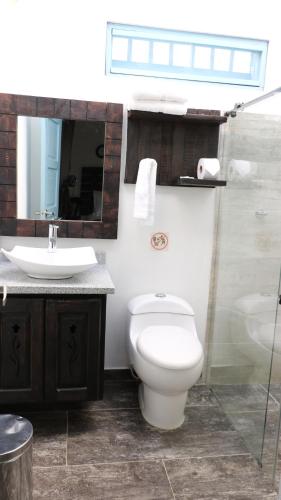 a bathroom with a toilet and a sink and a mirror at Casa Hotel Santa Helena Boutique in Villa de Leyva