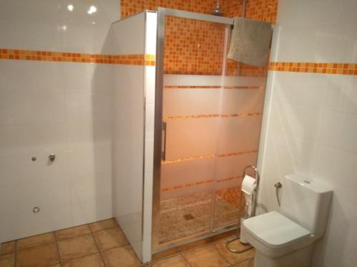 uma casa de banho com um chuveiro e um WC. em Casa Valdequiruelo em Vanidodes
