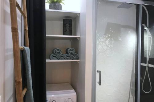 Elle comprend une armoire et une étagère avec des toilettes. dans l'établissement Canal du midi, cosy city center apt, train station, à Toulouse