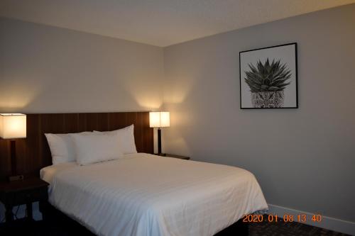 a hotel room with a bed and a plant on the wall at High Point Resort in Quathiaski Cove