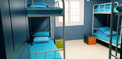 Tempat tidur susun dalam kamar di Blue Backpackers Hostel