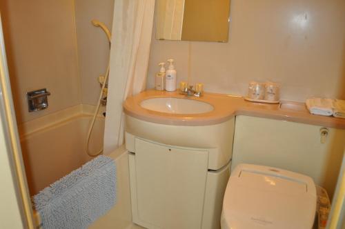 ein kleines Bad mit einem Waschbecken und einem WC in der Unterkunft Green Hotel Rich Tokugawaen in Okazaki