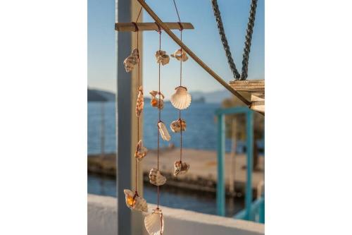 a group of seashells are hanging from a building at Capetan Nikolas-boat house in Klima