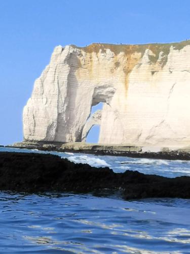 a view of a white cliff from the water at LE WELCOME vue port appartement plain pied in Fécamp