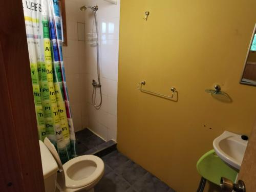 łazienka z prysznicem, toaletą i umywalką w obiekcie Cabaa Pudomo en Coaripe - Cercana al lago w mieście Coñaripe