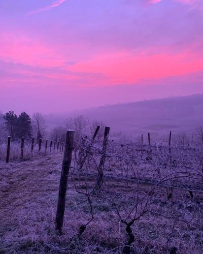 a fence in a field with a sunset at Laficaia Wine Resort in Mombaruzzo