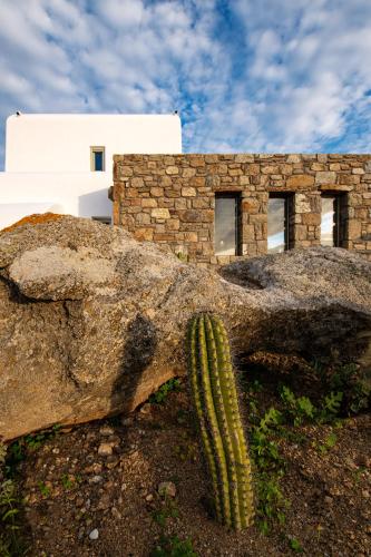a cactus sitting next to a large rock next to a building at Mykonos AG Villas in Ftelia Beach in Elia