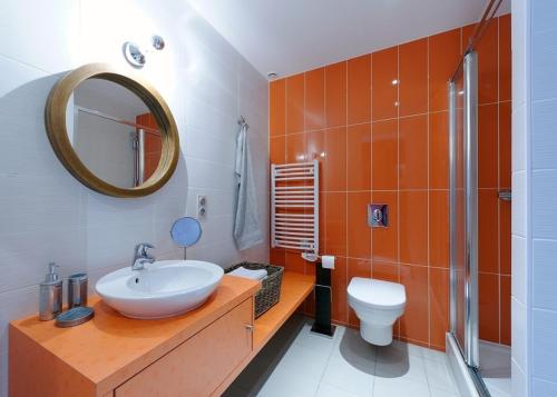a bathroom with a sink and a toilet and a mirror at Appartement Quai N° 5 in Strasbourg