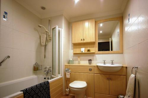 a bathroom with a toilet and a sink and a shower at The Flat In The Square in Helensburgh