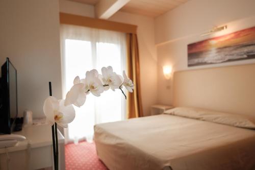 Gallery image of Hotel Alexander in Riccione