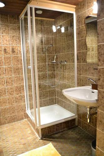 a bathroom with a shower and a sink at Haus Pfauth in Tannheim
