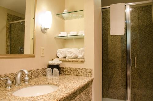 a bathroom with a sink and a shower at Holiday Inn Hotel Pewaukee-Milwaukee West by IHG in Pewaukee