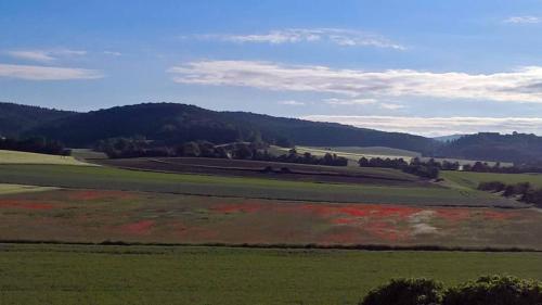 a large green field with mountains in the background at Ferienwohnung "Auszeit" in Hofheim in Unterfranken