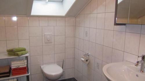 ein Bad mit einem WC und einem Waschbecken in der Unterkunft Ferienhaus Fanny in Lam