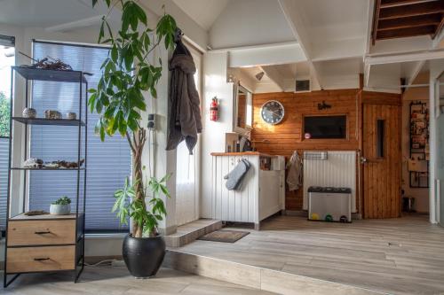 cocina con nevera y planta en una habitación en Hakuna Matata Peddelenzo, en Kiel