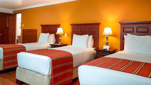 терра номера