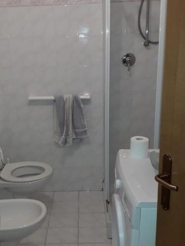 uma casa de banho com um chuveiro, um WC e um lavatório. em Le betulle - 022147-AT-050930 em Predazzo