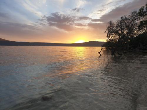 Un paisaje natural cerca de la casa de huéspedes