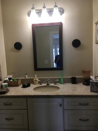 a bathroom counter with a sink and a mirror at Large Modern Private Suite by the Sea- Birders Paradise in Little Compton
