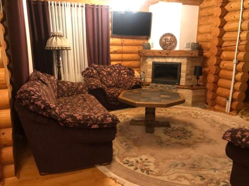 布克維的住宿－Cottage PolyaNitsa окремий котедж з каміном，客厅配有两把椅子和壁炉