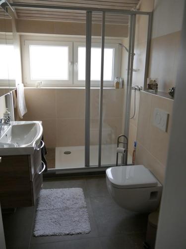 a bathroom with a shower and a toilet and a sink at Ferienwohnung Haus Sonnenberg in Bremervörde