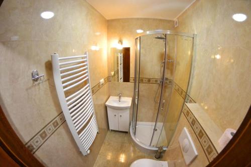 a bathroom with a shower and a toilet and a sink at Tylicki Zdrój in Tylicz