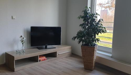 un salon avec une télévision et une plante en pot dans l'établissement Ferienwohnung nahe Völkerschlachtdenkmal, à Leipzig