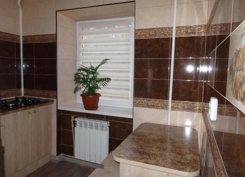 baño con ventana y planta en Apartment en Kropyvnytskyi