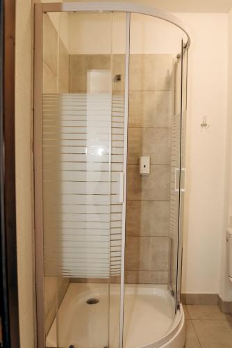 a glass shower in a bathroom with a toilet at Villa Kmeller in Lviv