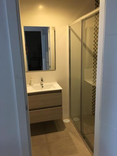 een badkamer met een wastafel en een douche bij apartamento cristina in El Rompido