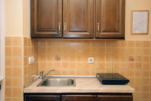 a kitchen counter with a sink and wooden cabinets at Villa Jupok in Bar