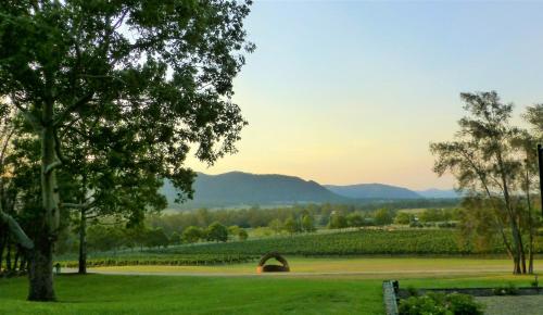 a park with a tree and a field with mountains at Winmark Wines in Broke
