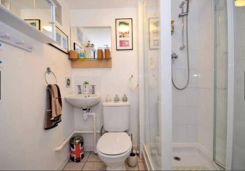 a bathroom with a shower and a toilet and a sink at Oasis 77 in London