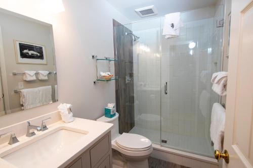 een badkamer met een douche, een toilet en een wastafel bij Modern & Updated Winterplace 3Br- Sleeps 12 condo in Ludlow