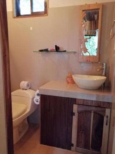 a bathroom with a toilet and a sink at Jungle Living Tree Houses in Monteverde Costa Rica