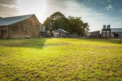 a barn with a horse standing in a field at The Barracks, Tocal in Paterson