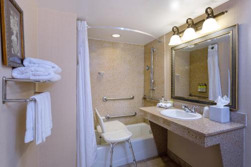 Phòng tắm tại Holiday Inn Express & Suites Bradenton East-Lakewood Ranch, an IHG Hotel