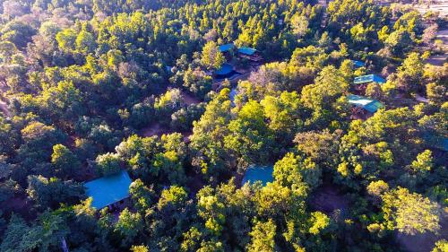 甘哈的住宿－Kanha Jungle Camp，相簿中的一張相片