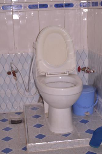 a bathroom with a toilet with a hose at The Dreamer Hotel in Dar es Salaam