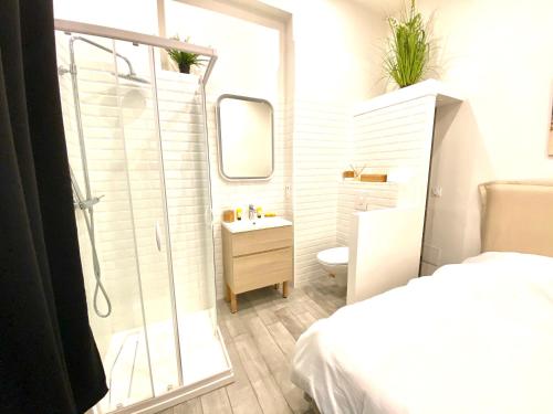 カンヌにあるAppartement AAAのバスルーム(シャワー、洗面台、トイレ付)